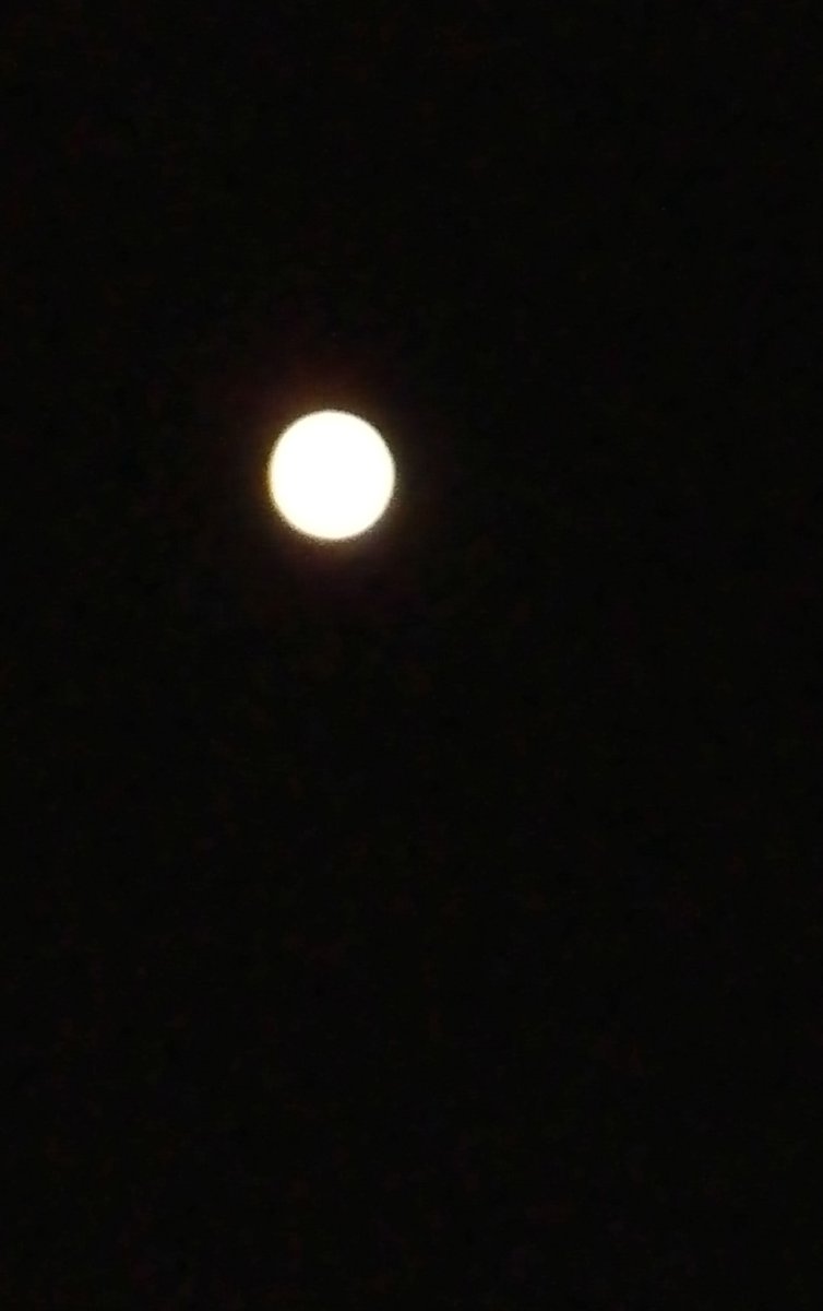 DorsetWriter's tweet photo. #Corfu #FullMoon

Let's go swimming tonight, by the light of the moon!

Shall I, shan't I? https://t.co/g1iy5gVWV6