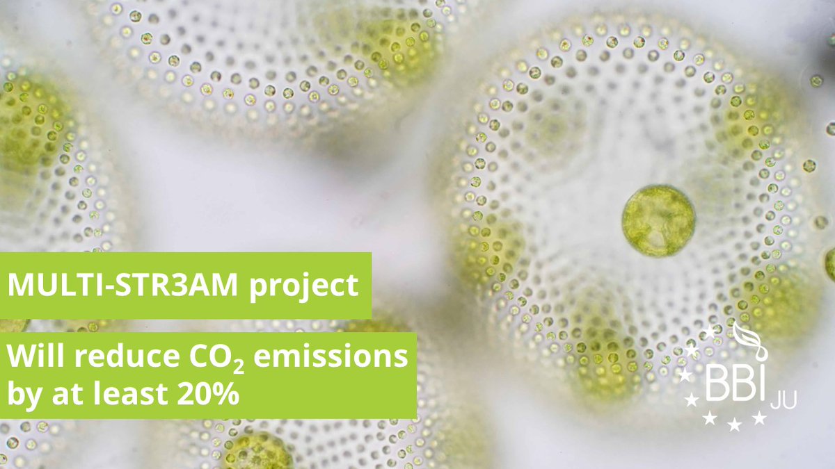 CBE_JU's tweet photo. ๐ The new @BBI2020 #MULTISTR3AM project will demonstrate the #sustainable ๐ conversion of microalgae into high-quality products for food, feed & fragrance applications.
๐ Read more https://t.co/0LOhIXmWr1 https://t.co/PNQDLGgGiT