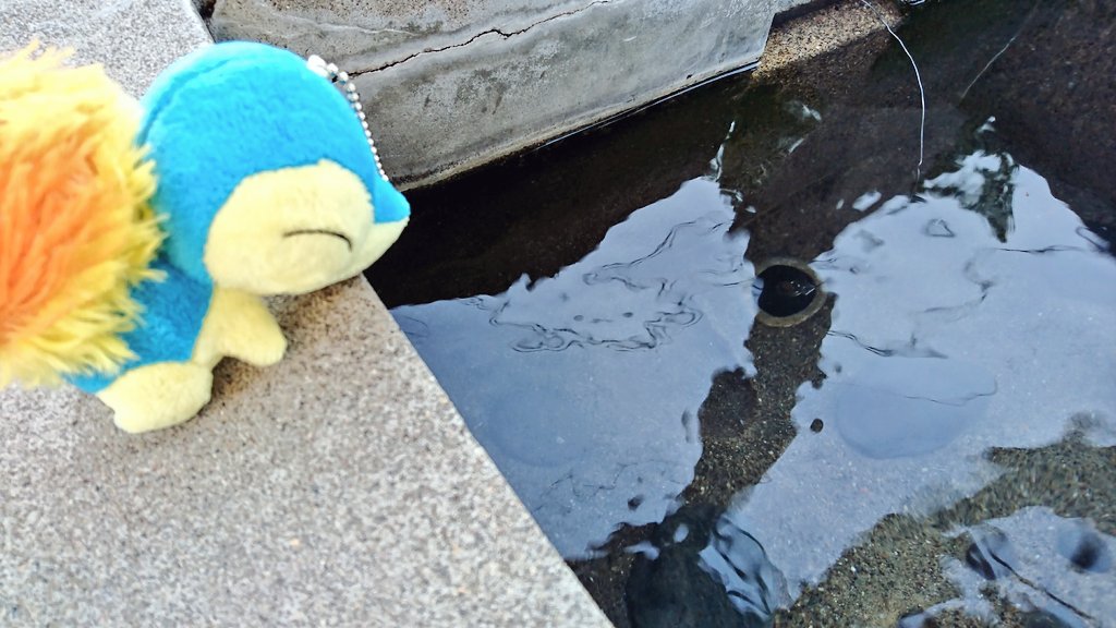 ぼくのかっこいいグソクムシャ Min T ミント