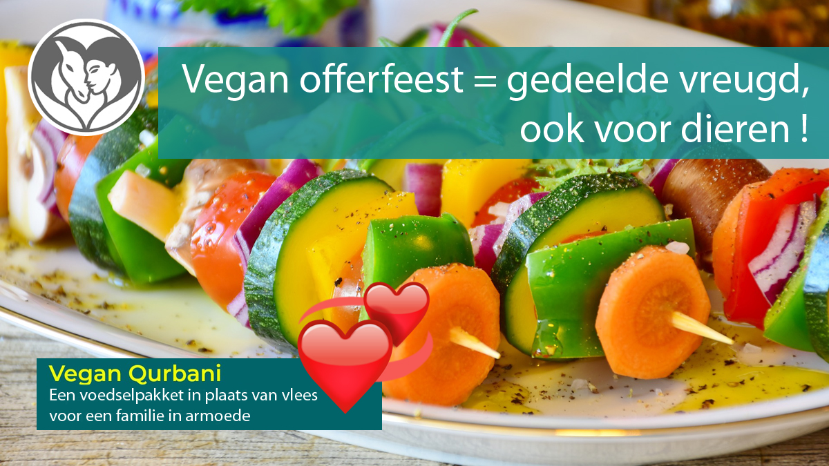 DierAnimal tweet media