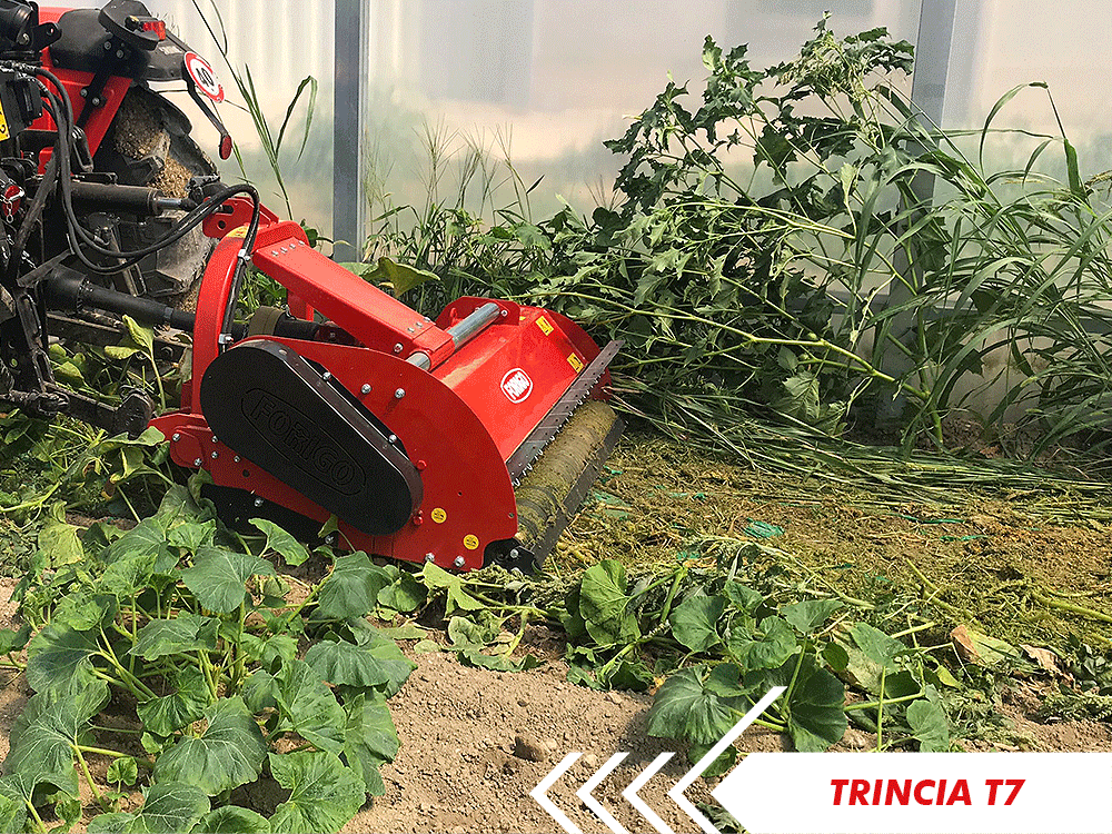 forigo_roter's tweet photo. Il segreto della #trinciatrice T7 di #Forigo? Un rotore ad alta rotazione completo di mazze, che non si lascia intimidire da nulla! Scopri la sua efficienza ➡️ https://t.co/4vYJTd704Y https://t.co/irMa2pvyVZ