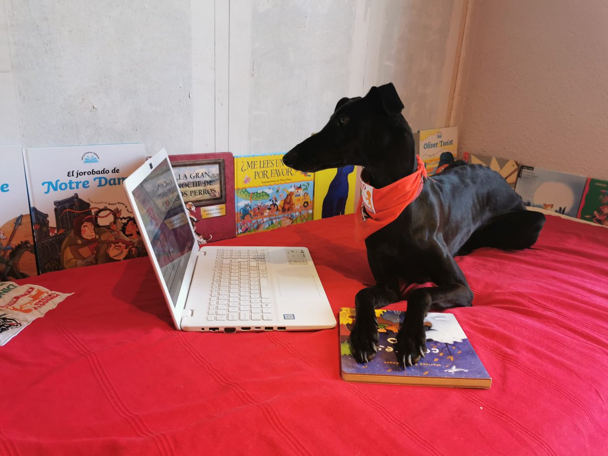 perrosyletras's tweet photo. Niños y niñas siguen leyendo ONLINE con nuestros perros. Regala una sesión de lectura a los tuyos. Reserva ya en info@perrosyletras.com o en el 669 280 783. https://t.co/k1shVt1NtN