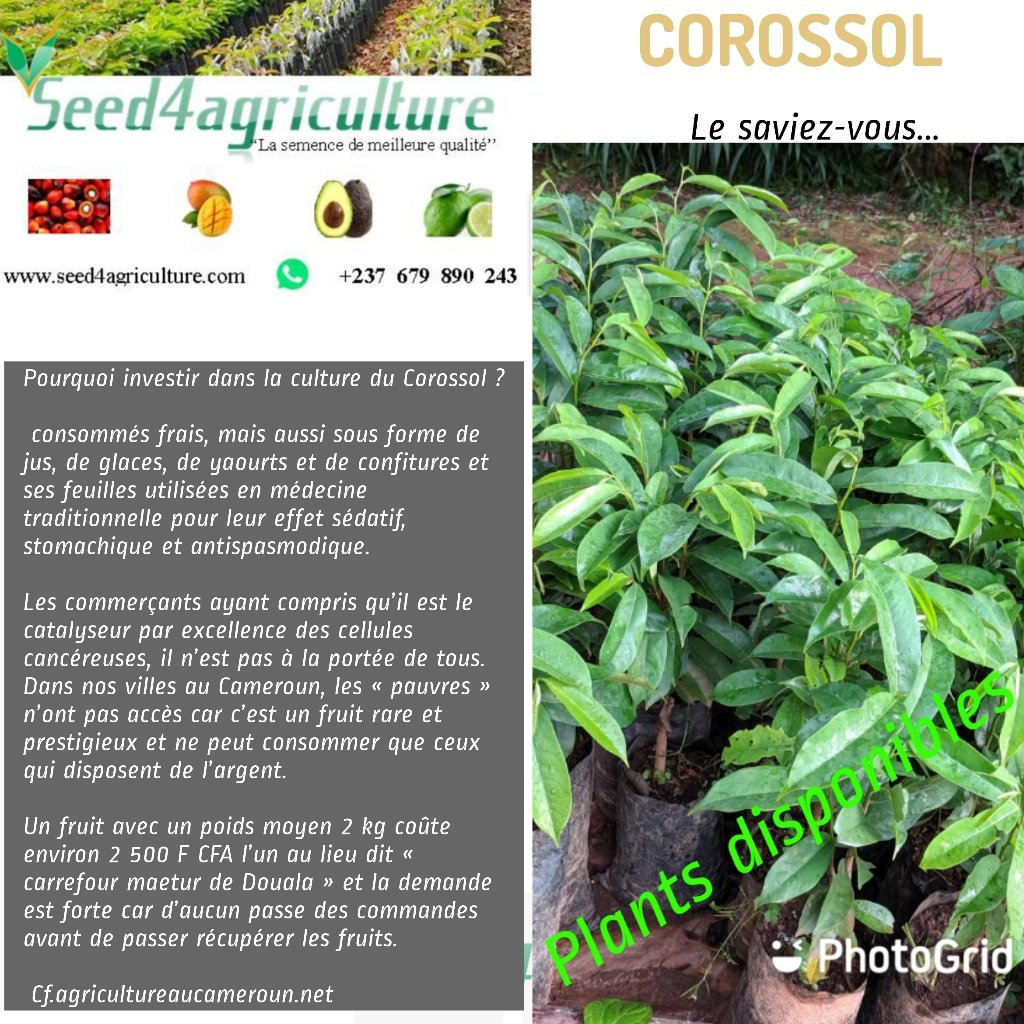 A la une... 
seed4agriculture.com