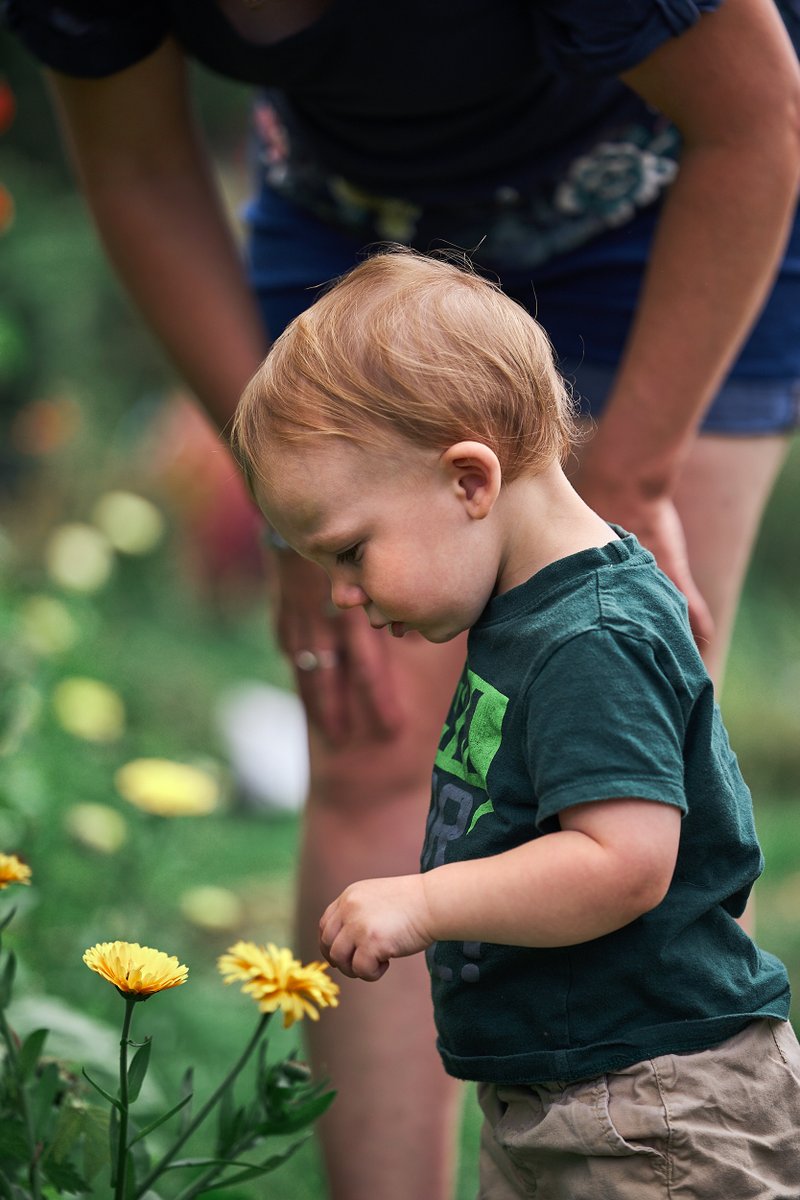 My youngest apprentice! Loving the outdoor life and the colour of the calendula at the field.⁠