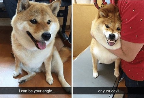 ????????? DOKOMI HALL3 3M80 on Twitter: "I can be ur angle or devil  https://t.co/buPhIUXhuf" / Twitter