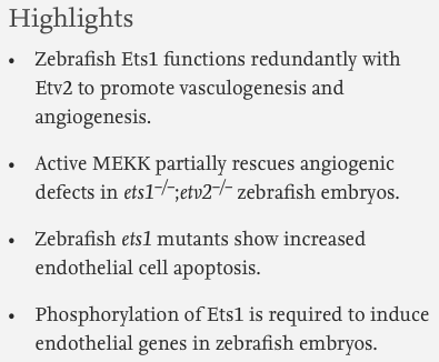 Dev_Bio_Journal's tweet photo. #DBfeatures #DBpreview #DevBio #zebrafish 🐟
"Ets1 functions partially redundantly with Etv2 to promote embryonic vasculogenesis & angiogenesis in zebrafish" by Satish Casie Chetty & Saulius Sumanas, in our new Sept 1, 2020 issue!
Check it out here -> https://t.co/BRAKjjJUKl https://t.co/64KU2lcavX