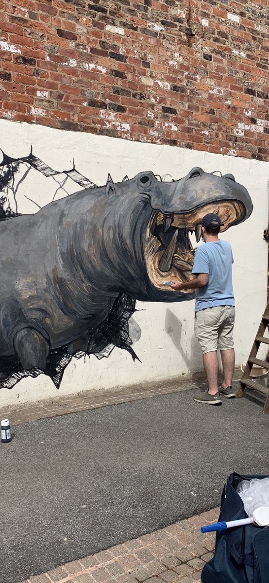 Anyone seen a hippo!!!#bigupstockton