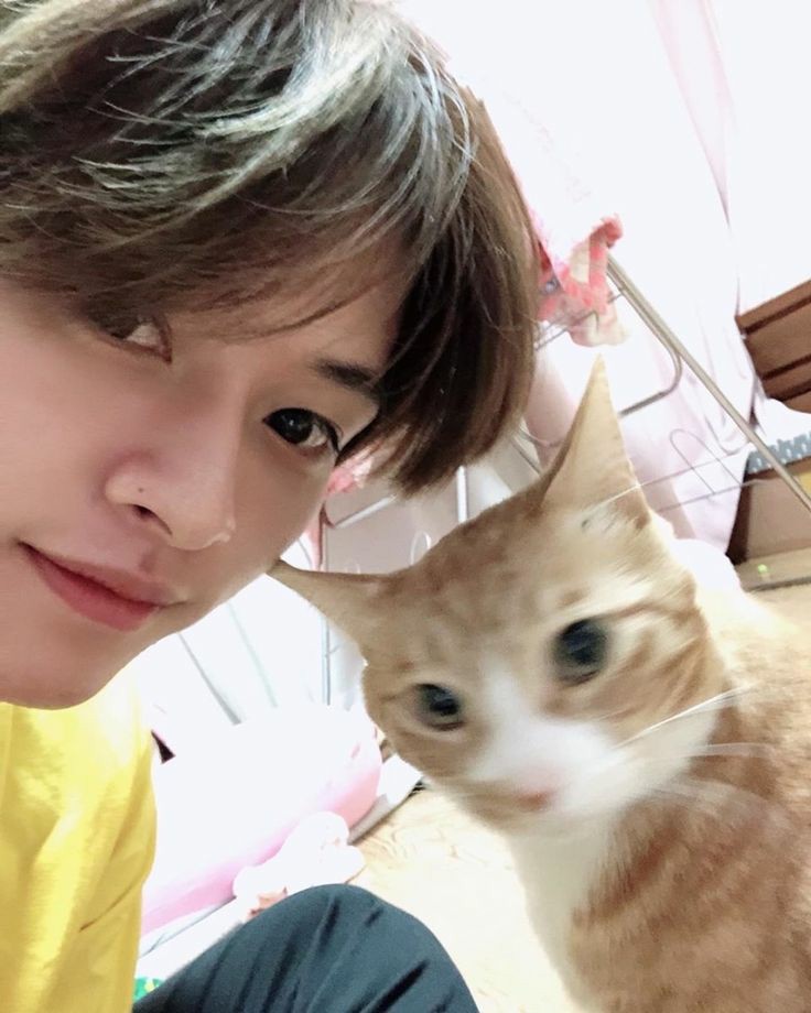 my heart feels heavy, i really needed a hug today. i miss elbi & my friends. thank god skz existed bcos they really have become my comfort. plus this minho is so adorable  i feel like a received a hug today because he's hugging the cat and i'm a cat (acc to my friends lol)