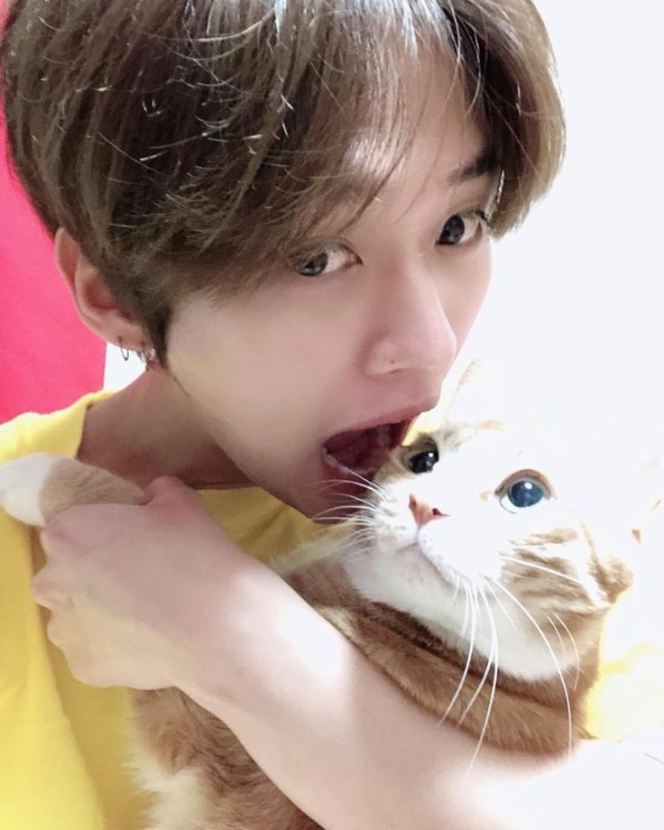 my heart feels heavy, i really needed a hug today. i miss elbi & my friends. thank god skz existed bcos they really have become my comfort. plus this minho is so adorable  i feel like a received a hug today because he's hugging the cat and i'm a cat (acc to my friends lol)