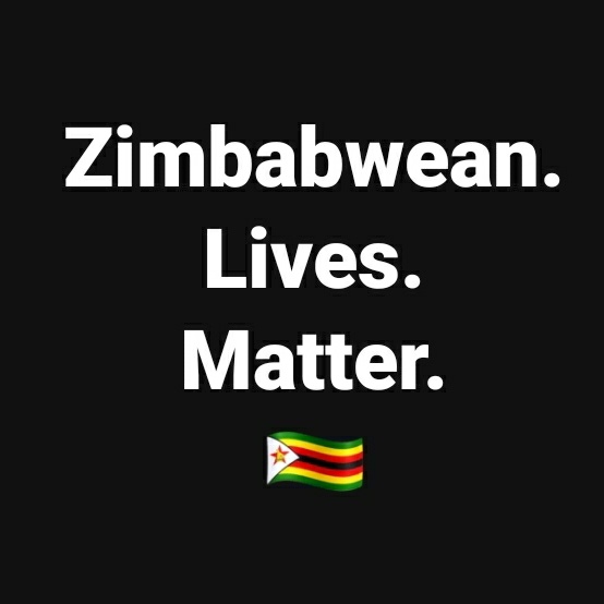 AfricaFactsZone's tweet photo. #ZimbabweanLivesMatter is campaign for the release of Journalists, Human Rights Activists and Opposition Figures who are being arrested, intimidated and assaulted in the country.

It's also calling for the end of human rights abuses in the country. https://t.co/fMLnw0ci0y