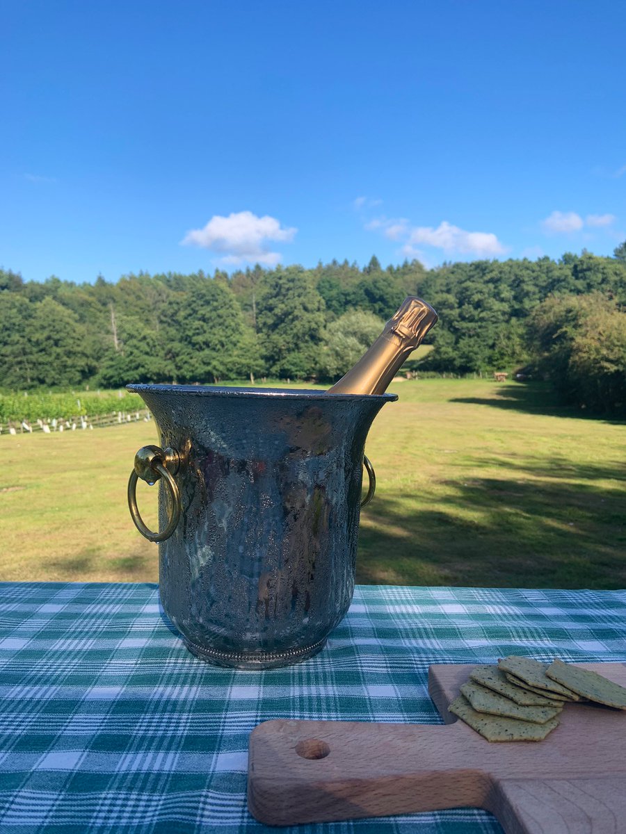 Fiona Hamilton tweet media