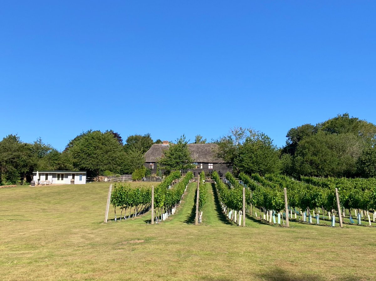 Fiona Hamilton tweet media