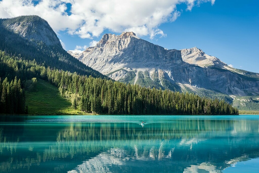 StudyinBC's tweet photo. Happy BC Day! 🇨🇦♥️
#emeraldlake #yoho #britishcolumbia #canadianrockies #landscape #yohonationalpark #tourismbc #lovebc #hellobc #bcday #explorebc #beautifulbc #beautifulbritishcolumbia #canada #StudyinBC #explorecanda https://t.co/pokJwzW7NL https://t.co/NcyVzc4VJv