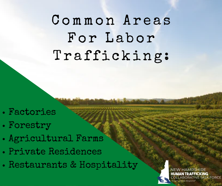 NHHTCTF's tweet photo. What are the most common areas for labor trafficking? #EndTrafficking #NH #LaborTrafficking #CommonAreas #ItHappensHere https://t.co/qhHE51ygP2 https://t.co/vZMdUVVTQP