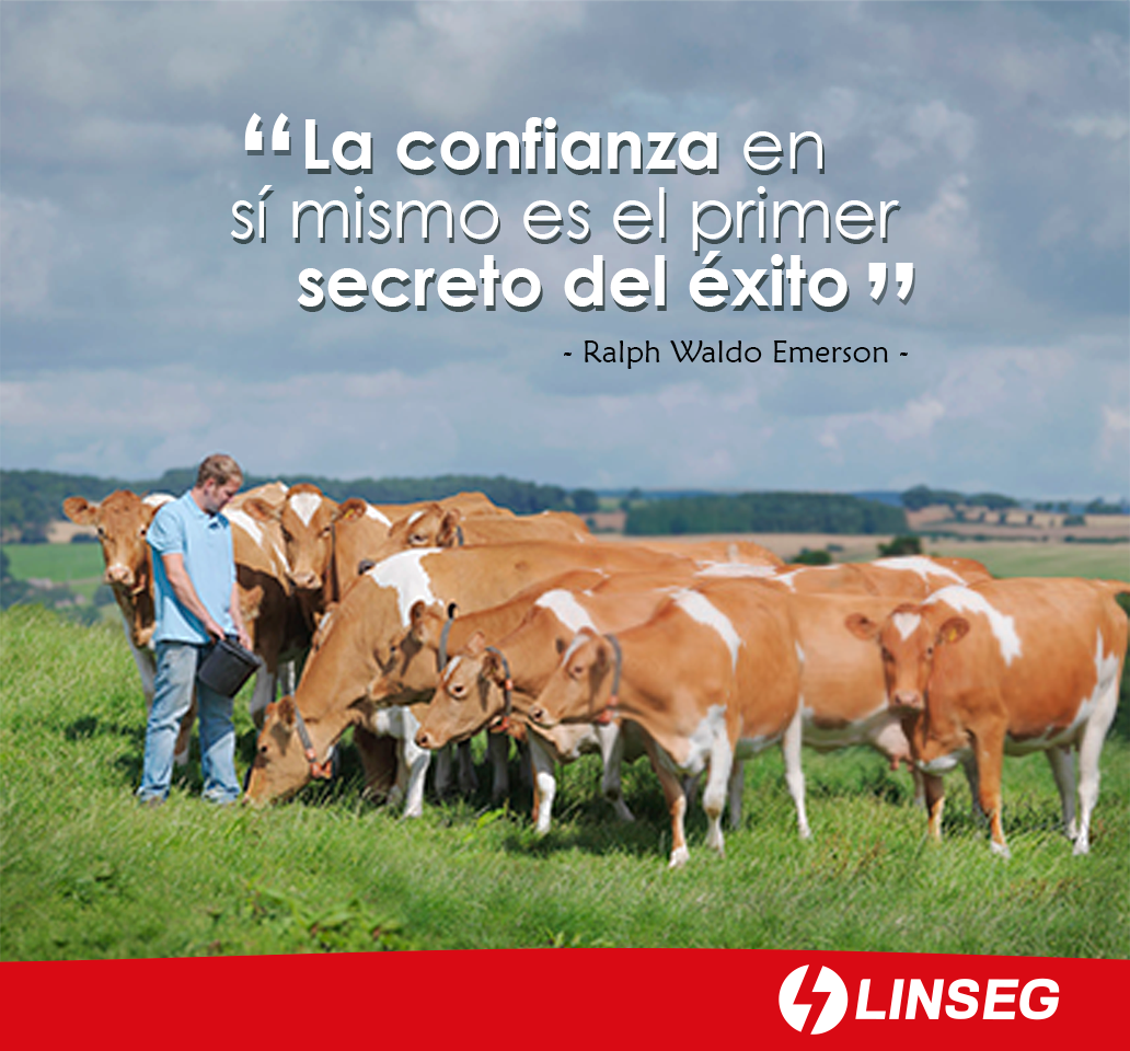 LINSEGPERU's tweet photo. Buenos días querid@s amig@s, que tengan un #ExcelenteInicioDeSemana 🤩 😊🤠💪🍀
“La confianza en sí mismo es el primer secreto del éxito” 💪😊
 #FelizLunes #Confianza #Éxito #Linseg #LíderEnCercosEléctricos #CercosEléctricos
👉 Visita nuestra web: https://t.co/YyoTfLgqCR https://t.co/UHfTSVNAQ1