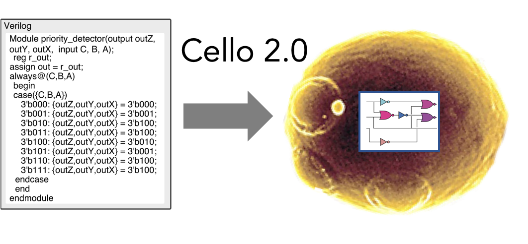 Christopher Voigt tweet media