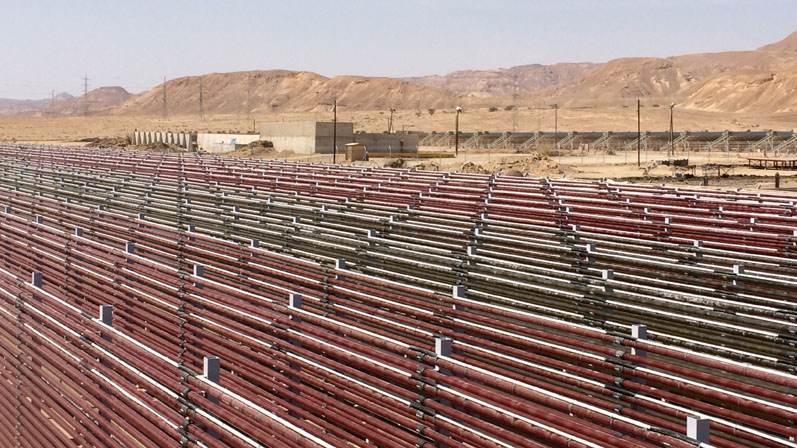 NBR_Magazine's tweet image. #Solabia integrates #Algatech’s portfolio of #microalgae-derived #nutrients into its product line:  nutraceuticalbusinessreview.com/news/article_p… @solabia @Algatech98