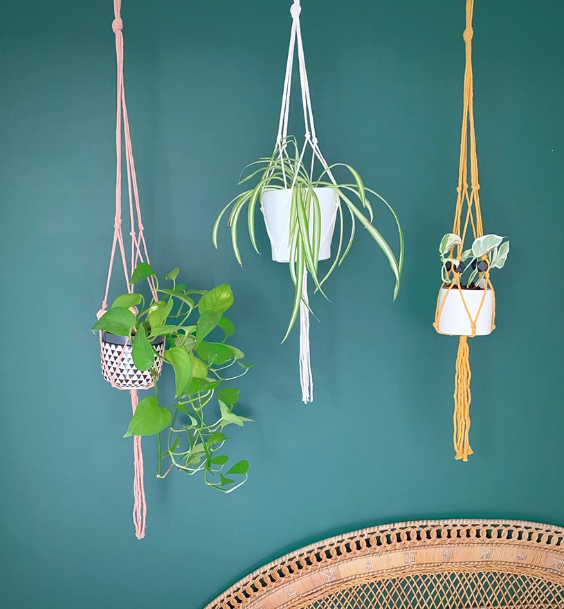 MakeryKate's tweet photo. In case you missed it a few weeks ago, here's a link to a macrame plant pot hanger tutorial we did for the lovely @seasaltclothing!

Find the full instructions and an easy-to-watch video here: https://t.co/LP0lq7UhCG https://t.co/6g9d7cu318