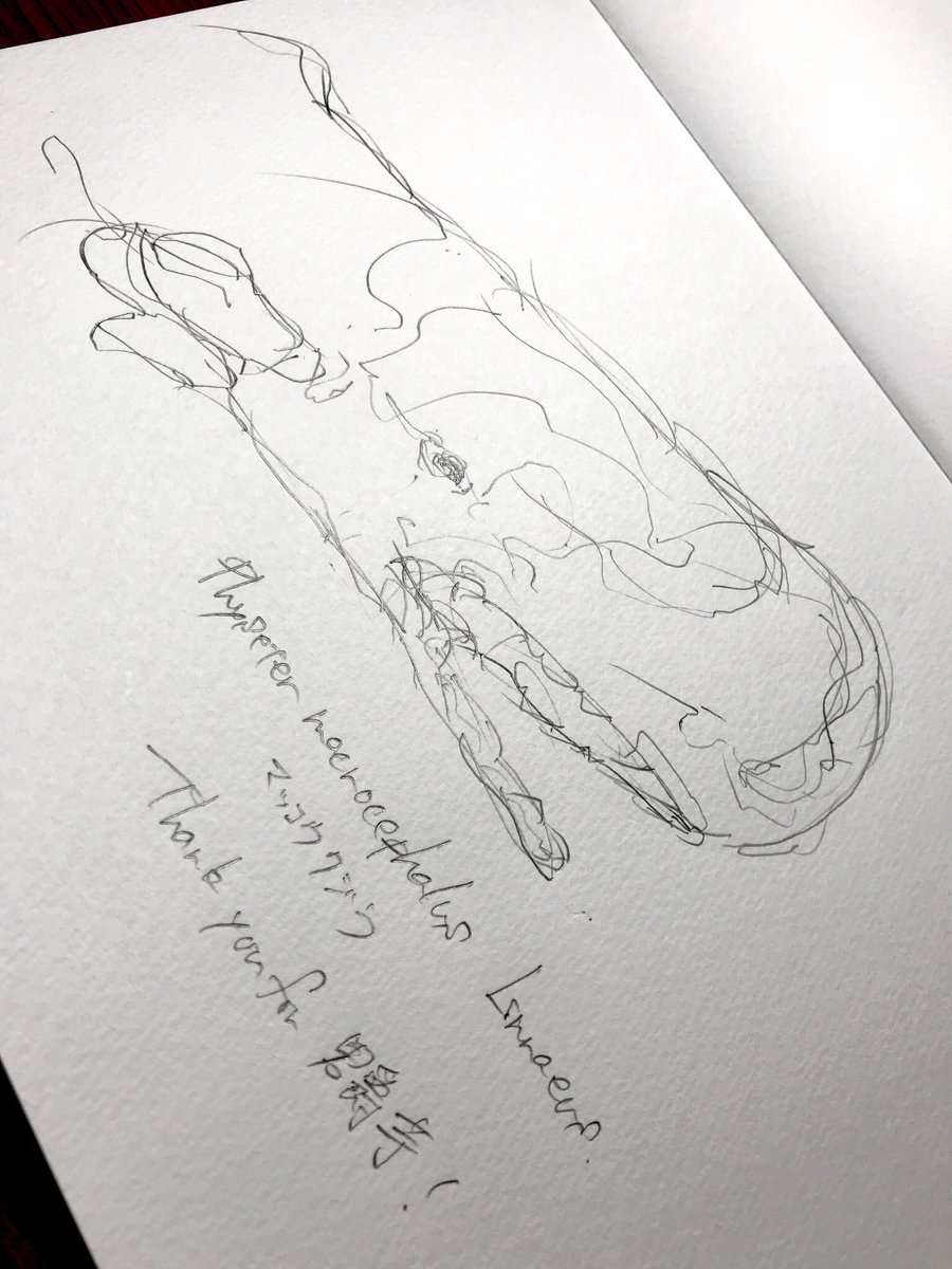 マッコウクジラ
(Physeter macrocephalus Linnaeus)

Thank you for @1m0_d ! 