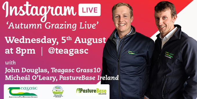 Teagasc (@teagasc) on Twitter photo Join <a href="/TeagascGrass10/">TeagascGrass10</a> & <a href="/PastureBase/">PastureBase Ireland</a> for an Instagram live session on Wednesday 5 August at 8pm over on our Teagasc Instagram page. Micheal & John will be on hand to discuss Autumn Grazing Management, as well as answer your questions. Follow us on Instagram instagram.com/teagasc Join <a href="/TeagascGrass10/">TeagascGrass10</a> & <a href="/PastureBase/">PastureBase Ireland</a> for an Instagram live session on Wednesday 5 August at 8pm over on our Teagasc Instagram page. Micheal & John will be on hand to discuss Autumn Grazing Management, as well as answer your questions. Follow us on Instagram instagram.com/teagasc
