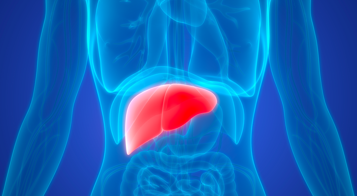 INmuneBio's tweet photo. According to research out of the Baylor College of Medicine @BCMAR_HISD, women have a higher risk of developing nonalcoholic steatohepatitis (#NASH) and #AdvancedFibrosis than men, especially after age 50. #liverdisease @medpagetoday https://t.co/Jcdd9rfosU https://t.co/jBBVJsTftp