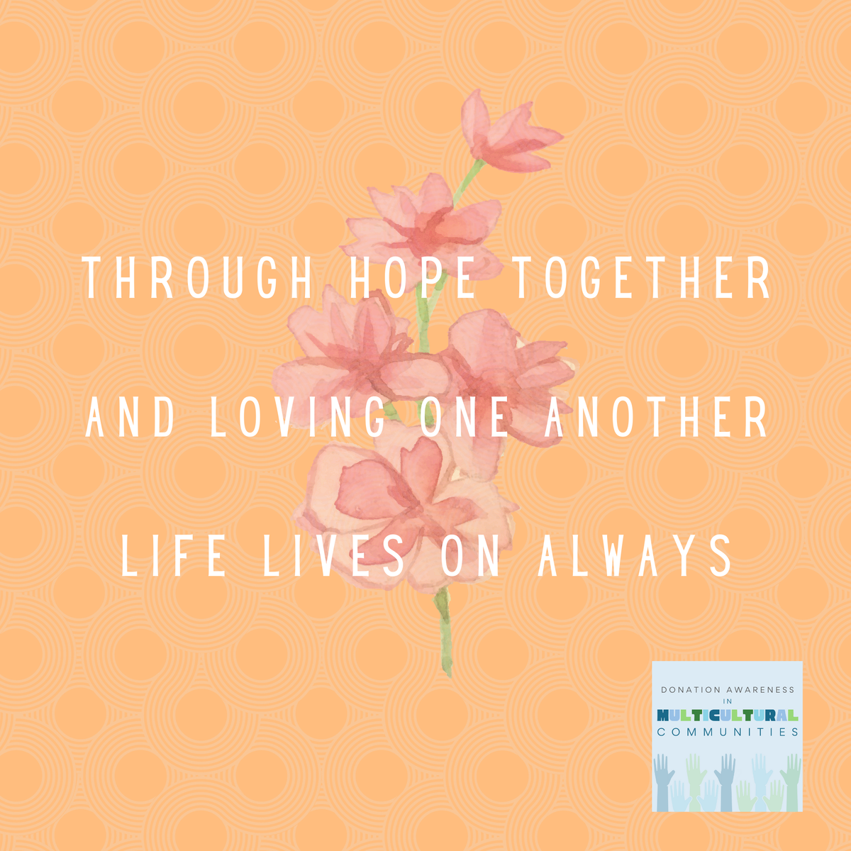 DonorNetworkAZ's tweet photo. Join Donate Life Arizona for a Haiku contest! Looking for inspiration? Try a haiku about generosity, organ/tissue donation, hope, giving or new traditions. All submissions must tag @donatelifeaz to enter to win. #spreadgenerositynotgerms #donatelife #multiculturaldonorawareness https://t.co/C9vd8d19cd