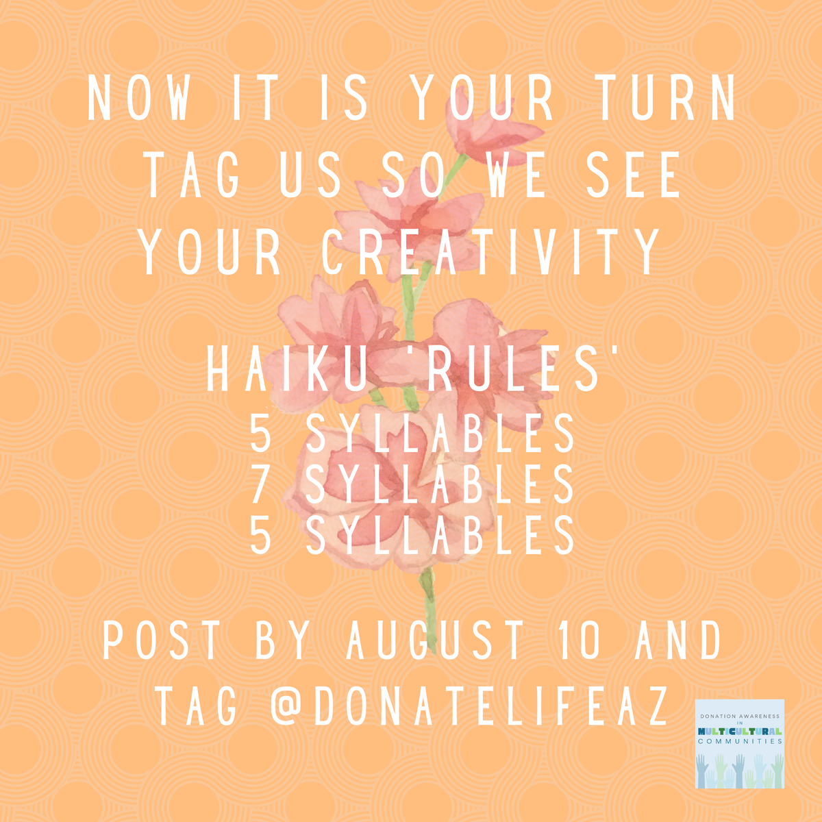 DonorNetworkAZ's tweet photo. Join Donate Life Arizona for a Haiku contest! Looking for inspiration? Try a haiku about generosity, organ/tissue donation, hope, giving or new traditions. All submissions must tag @donatelifeaz to enter to win. #spreadgenerositynotgerms #donatelife #multiculturaldonorawareness https://t.co/C9vd8d19cd