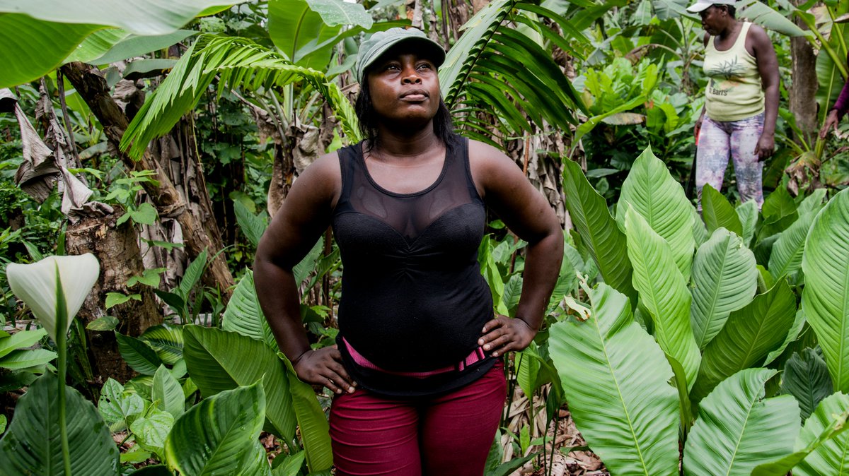 IFAD's tweet image. Small farmers have great powers to protect the #environment!

They are in the best position to:

♻️ develop sustainable farming systems
🌵 enhance biodiversity
🌾protect the ecosystems that are crucial for agriculture