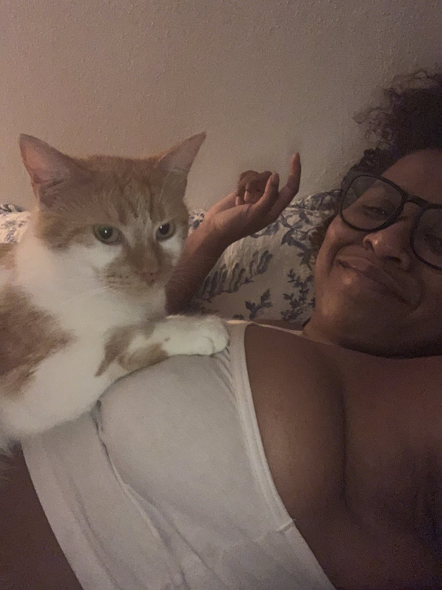 justkorihere's tweet photo. #kittyontitty #quarantitty 

What my life consists of these days https://t.co/fJ0ZN7Pm6c