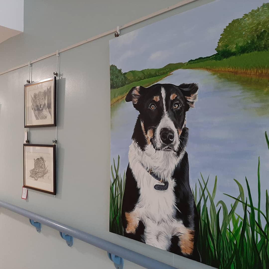 stanersmithart's tweet photo. My 3 month #art #exhibition at West Mendip #hospital #NHS #paintings #drawings #animals #flowers #landscapes #glastonbury #somerset #mendips https://t.co/Wb6xSGt4k9