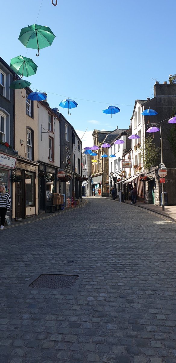 Alison Read tweet media