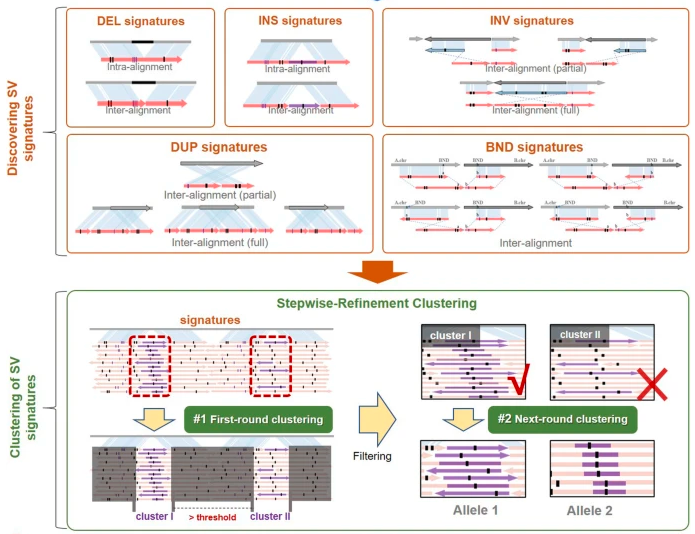 GenomeBiology's tweet photo. cuteSV, from Jiang, Liu, Wang and co, a tool for identifying structural variants using long reads. Different SV types have different signatures, which the method identifies. cuteSV can work with Nanopore and PacBio data. https://t.co/uEk5PPTFli https://t.co/0g86mtt1Uj
