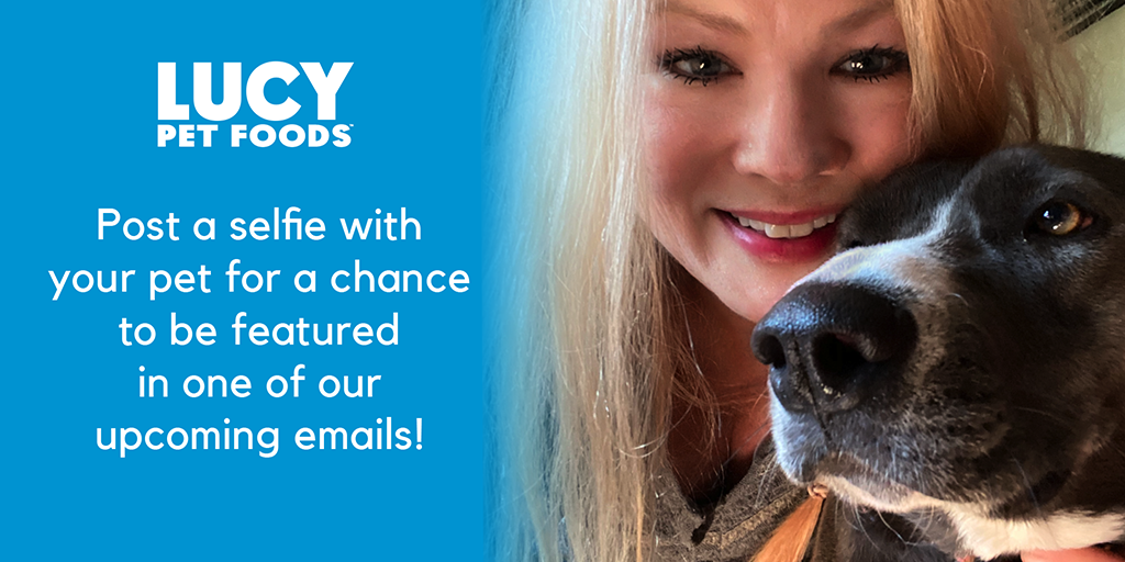 LucyPetFoods's tweet photo. Let’s make this about our Lucy Pet family! Post a selfie with your pet for a chance to be featured in one of our upcoming emails! We’ll also share it here! Join our email list, share your photo and tag us at @lucypetproducts!!! https://t.co/ptJYdj0LY7 https://t.co/H3wYORKmzI