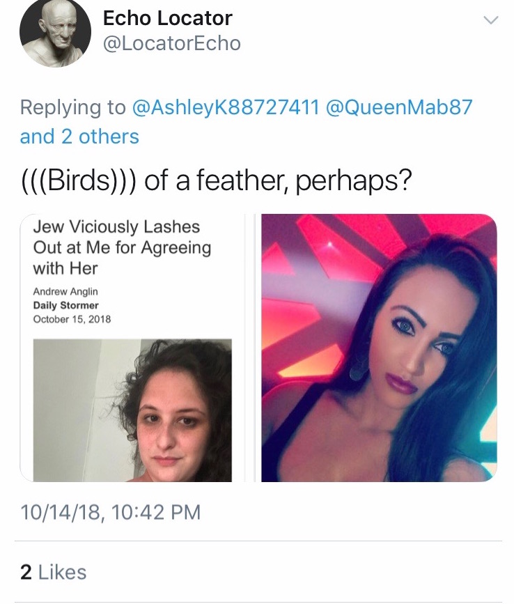 More antisemitic harassment focused on my looks. Pointing out that I don't physically look like their idea of the "master race" based on Eurocentric beauty standards is a go to for nazis. Why would we reinforce these standards? These tactics?