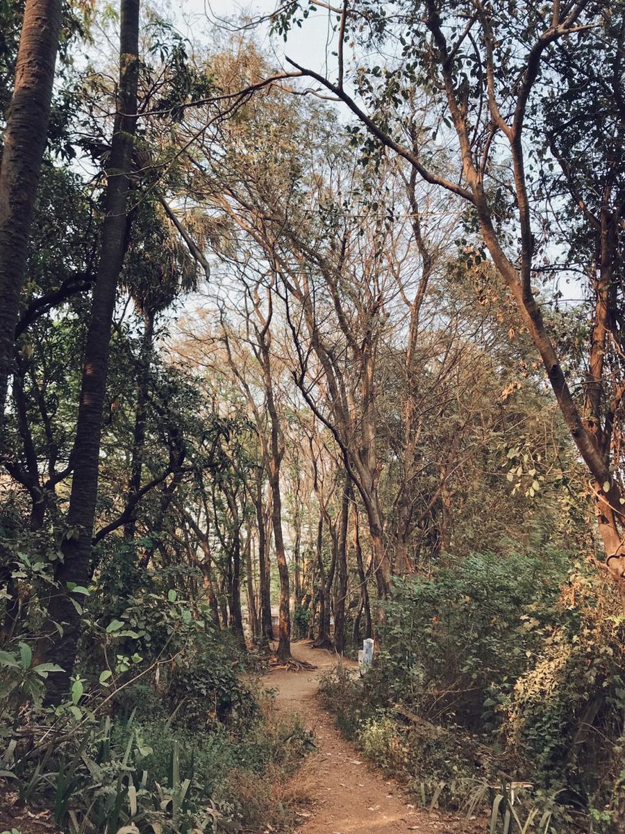 ashofnothing's tweet image. life is rough when 5 months ago feels like nostalgia #stonedup