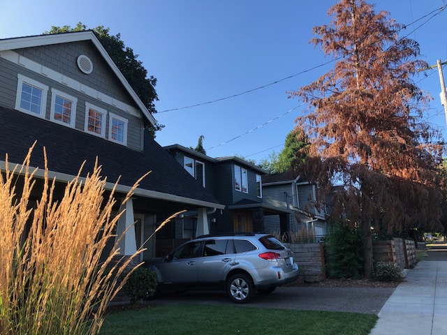 TualatinSWCD's tweet photo. Do you have a tree that is stressed or just seems a bit “off?” Join us tonight at 6 pm for What’s Wrong with my Tree? https://t.co/W69zAIezFQ
#UrbanForesty #TreeHealth #TualatinSWCD https://t.co/8JH1vfM3b4