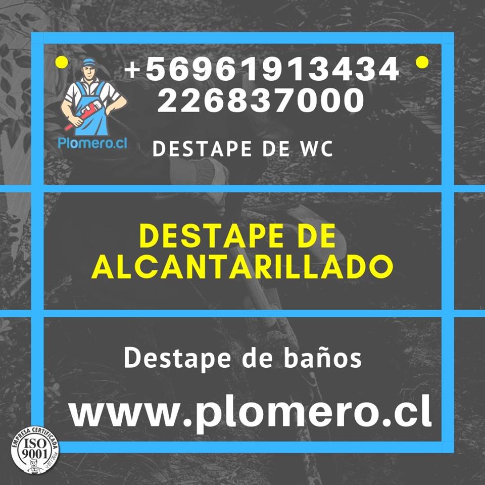 plomerochile's tweet photo. Contamos con grandes especialistas, llevando a tu hogar o negocio servicios de calidad, garantía y profesionalismo.. CONTÁCTANOS 226837000

#gasfiter #destapes #detecciones #calefón #filtraciones #servicios #plomeria #profesionalismo #bono500mil https://t.co/YW05bXQ351