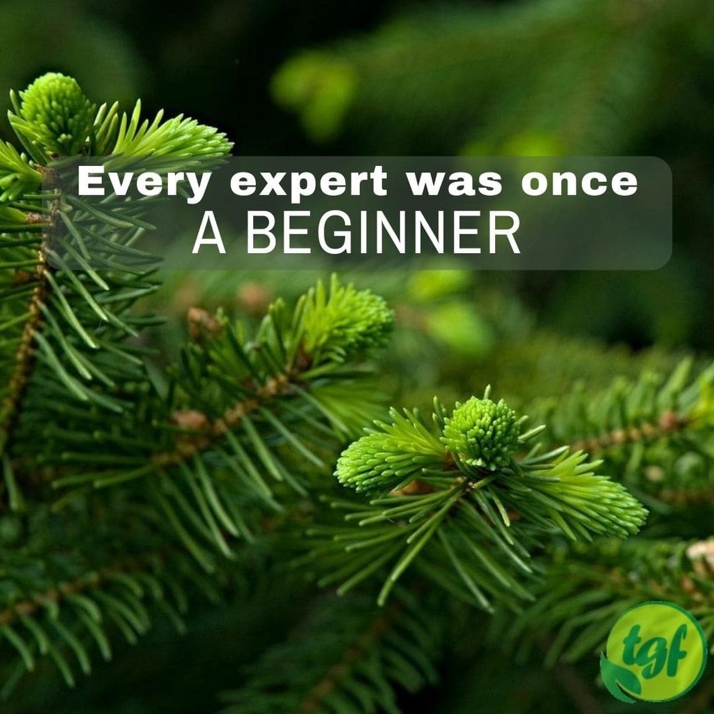 (Tumblr ift.tt/3gsPKMW) Every expert was once a beginner.⁠
⁠
#gardening #gardeningquotes #quotes #thegardenersfriends #inspiration #motivation #lifequotes #nature #garden #greenthumb #gardenlife #gardeninglife #gardeningmeme #gardenmeme