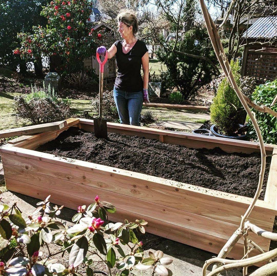 WatsonGloves's tweet photo. Happy Civic Day! All across the country, Victory Gardens have played a role in Canadian history. Learn more about Victory Gardens here: https://t.co/fJEjlVn6gx ✌🌱️🍅🥕🥬

📸: @mooremichelem

#LongWeekend #CivicDay #CivicHoliday #VictoryGarden #Gardening #WasteNot #WatsonGloves https://t.co/RBL0PsrVHM