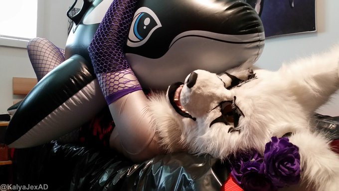 Sometime you ride the orca, sometime it's the orca who's riding you ❤️  RT if you would ride me 💋❤️❤️❤️  Happy<a href="/tag/furry"class="tags"><span>#furry</span></a><a href="/tag/nsfw"class="tags"><span>#nsfw</span></a><a href="/tag/fursuit"class="tags"><span>#fursuit</span></a><a href="/tag/furryfandom"class="tags"><span>#furryfandom</span></a><a href="/tag/murrsuitmonday"class="tags"><span>#murrsuitmonday</span></a>