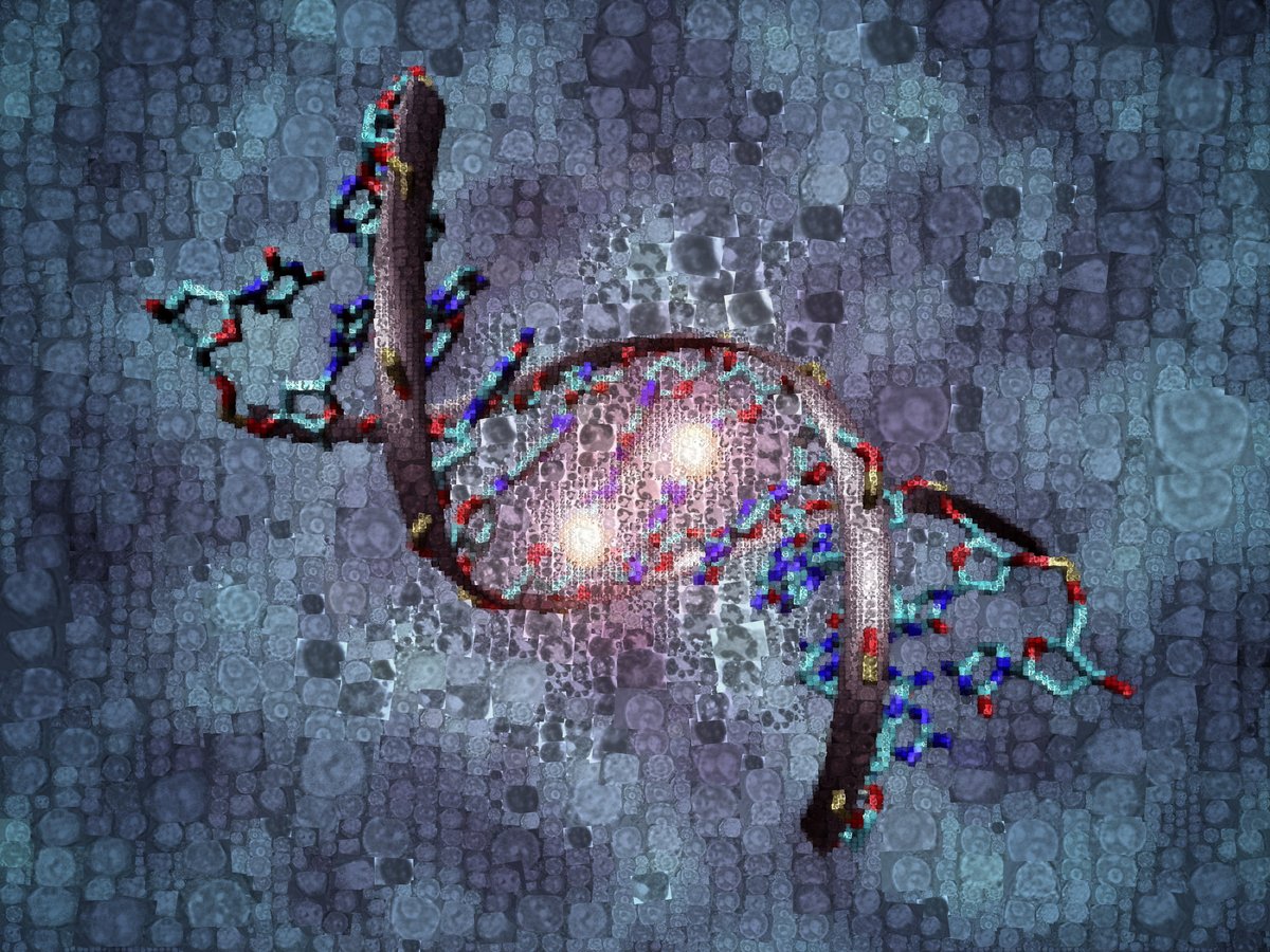 BockLab's tweet image. We study cancer and immunology, combining experimental biology with high-throughput technology, bioinformatic methods and machine learning. Our work is interdisciplinary and collaborative. We are equally committed to biological discovery and to advancing medicine.