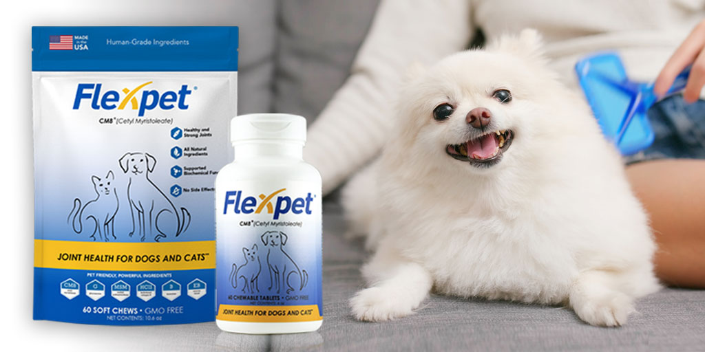 flexpet for dogs