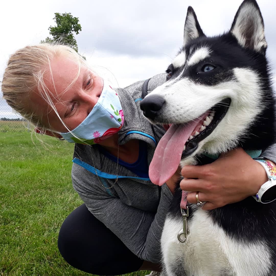 RunTopherRun's tweet image. Brace for an obnoxious number of posts featuring this beauty. Barring the unforeseen, Luna will be joining our little family!

#Husky #InTheHomeOfTheHuskies #DogsWhoRun #SheCompletesUs