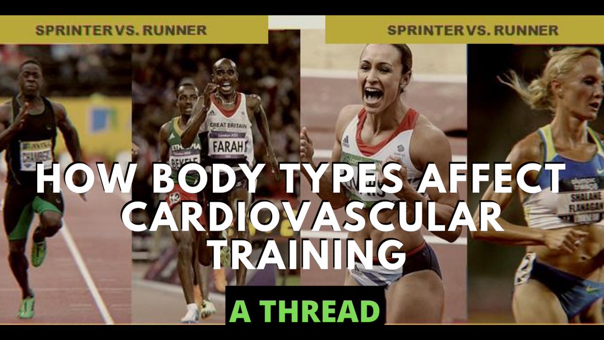 A thread on how your body type & genetics can influence cardiovascular training adaptationsWe’ve all noticed that some excel at sprinting and others long distance running. But it gets deeperOur skeletal structures influence our ability to utilize & deliver oxygen. There are..