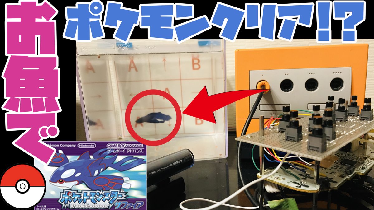 むてきまるちゃんねる Mutekimaru Channel おはようございます キンセツジム内からスタートです 980h ペットの魚でポケモンクリア Clear The Pokemon With Fish 作業用bgm T Co S0yzj6ondo むてきまるちゃんねる Mutekimaru Channel おはようございます キンセツジム内からスタートです 980h ペットの魚でポケモンクリア Clear The Pokemon With Fish 作業用bgm T Co S0yzj6ondo