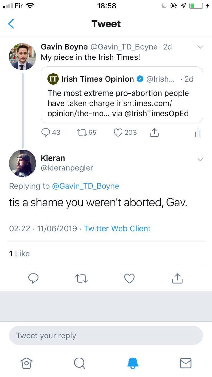 My story is that I was almost aborted in 1998 but saved by the Eighth Amendment. Ever since Ellen’s tweet, any public commentary I make through traditional or social media is met with the sentiment that it is a pity I wasn’t aborted. 6/8