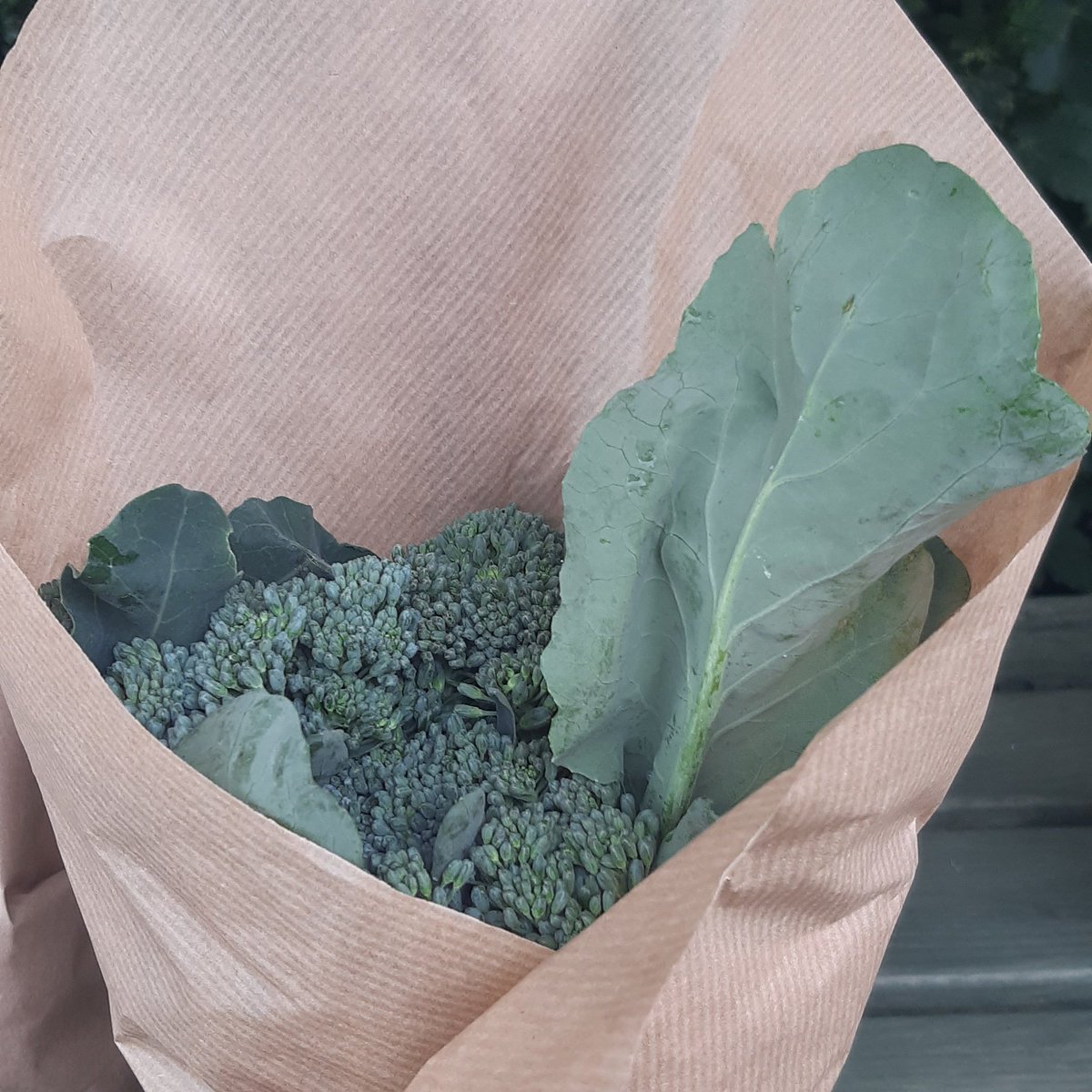 Hi Twitter friends Asking for a little help If you know any small food shops/bakeries/butchers etc that you think might like to stock our #longstembroccoli bouqets ask them to get in touch! Developing a new small retail side to the farm.Thanks for reading 😊😊 #anythingspossible