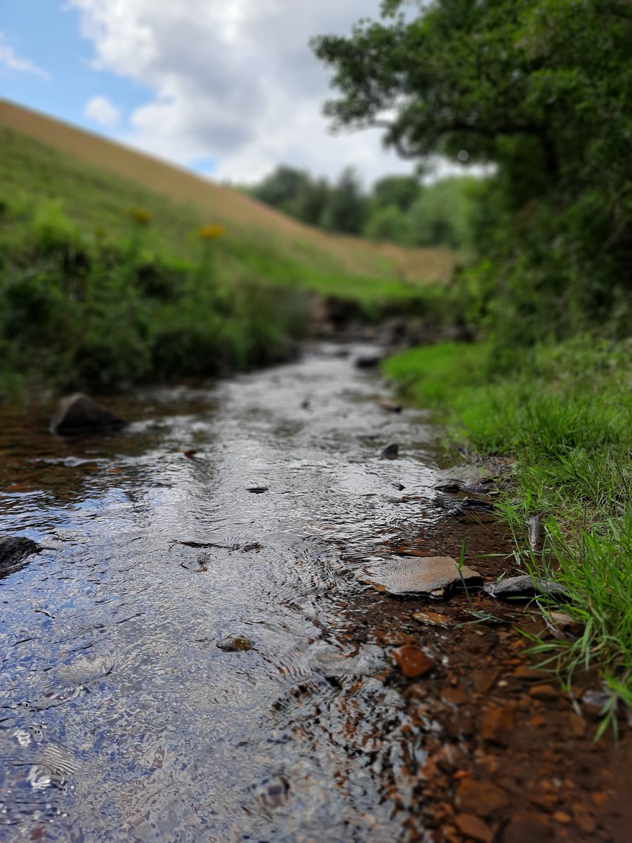 LeighSEdmondson's tweet photo. I really do #lovewherewelive ❤ #Godsowncounty #WestYorkshire #Calderdale #Elland #HolywellGreen #ShawPark #Stainland #JaggerGreen #Brosters #OldLindley #Blackley #lookatthoseviews #nevertireofthem #rollinghills #somethingnewtodiscoverroundeverycorner #Lockdownpositive #walking https://t.co/NZB3GOyNO4