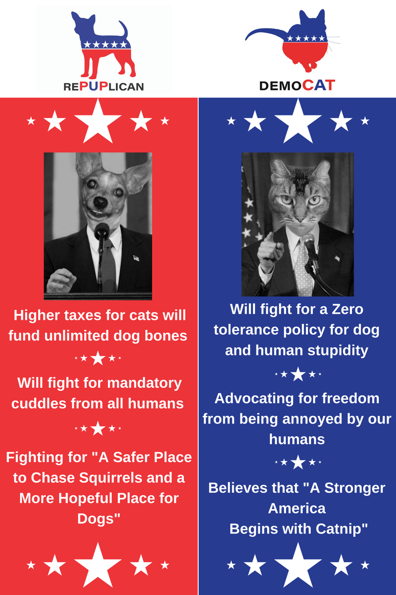 #VOTEWYATTFORPRESIDENT2020