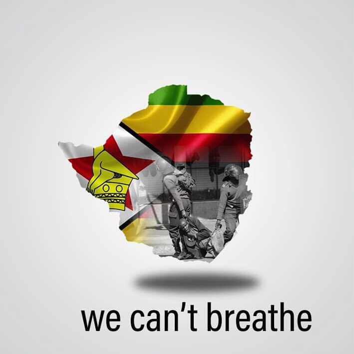 VaFrankT's tweet photo. #ZimbabweanLivesMatter https://t.co/XaDa7lkDyu